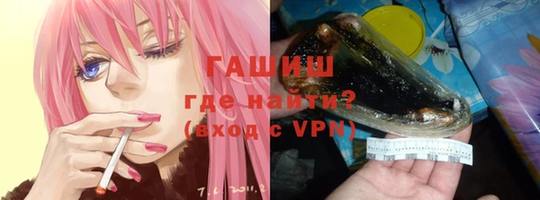гашик Вязьма