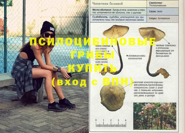 2c-b Вяземский