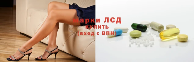 дживик Володарск