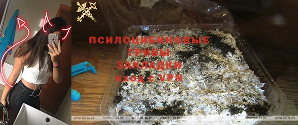 дживик Володарск
