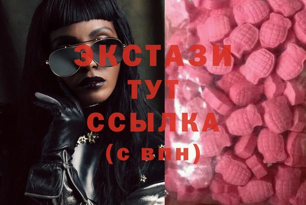 гашик Вязьма